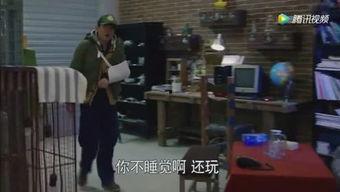 娱乐吃瓜蜀黍大学生,揭秘大学生活中的趣味瞬间