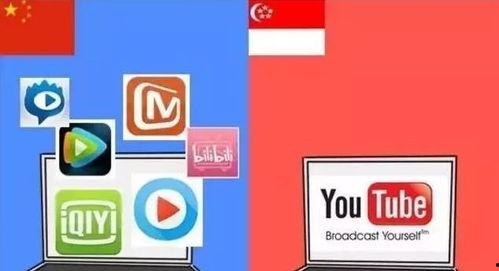 吃瓜群众视频网址在线观看,跟随视频网址，一探究竟