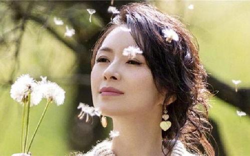 胖妞吃瓜看娱乐,笑谈娱乐圈风云变幻