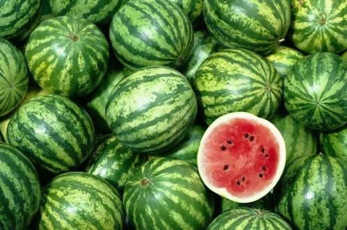 吃瓜论坛有哪些,热门话题与网友热议一览