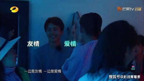 娱乐吃瓜焦俊艳,从吃瓜群众到焦点人物，娱乐圈的蜕变之路