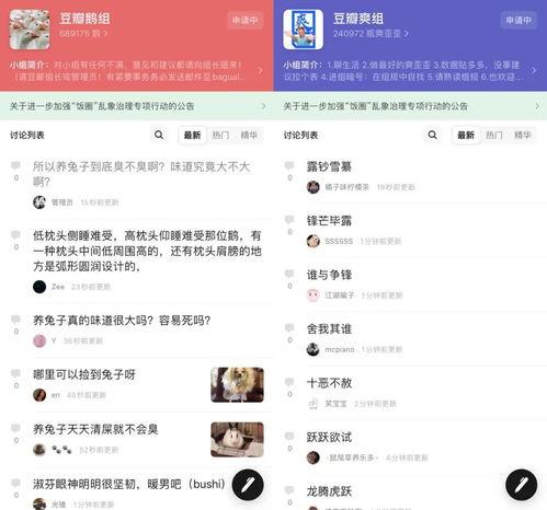 娱乐吃瓜押韵词语,吃瓜群众笑谈风云录